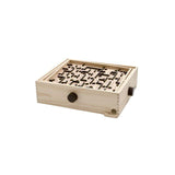 Labyrinth BRIO