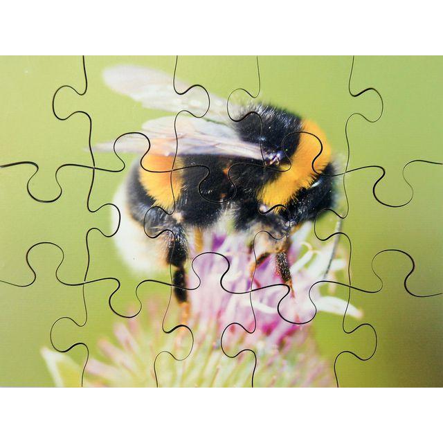 Puzzles Bugs 8 different puzzles