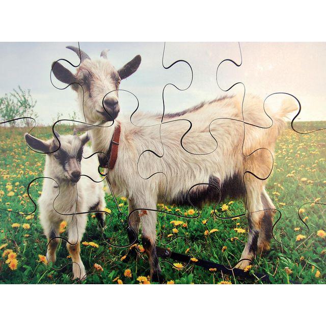 Farm animal puzzles 8 different puzzles