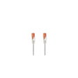 Cable NEDIS Network UTP Cat6 10m grey