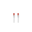 Cable NEDIS Network UTP Cat6 1m white
