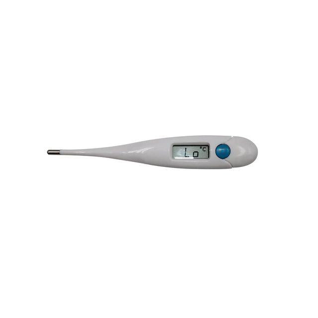 Digital thermometer