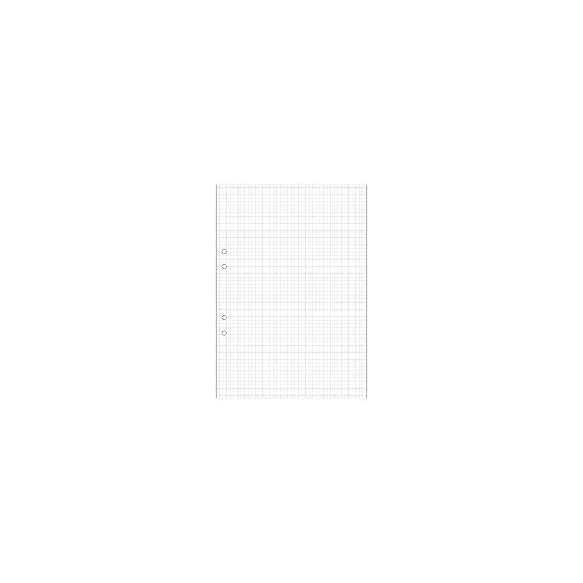 Loose leaf A4 squared 5x5mm perforated 500/pack