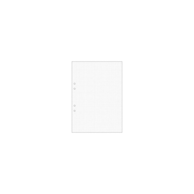 Loose leaf A4 squared 5x5mm perforated 500/pack