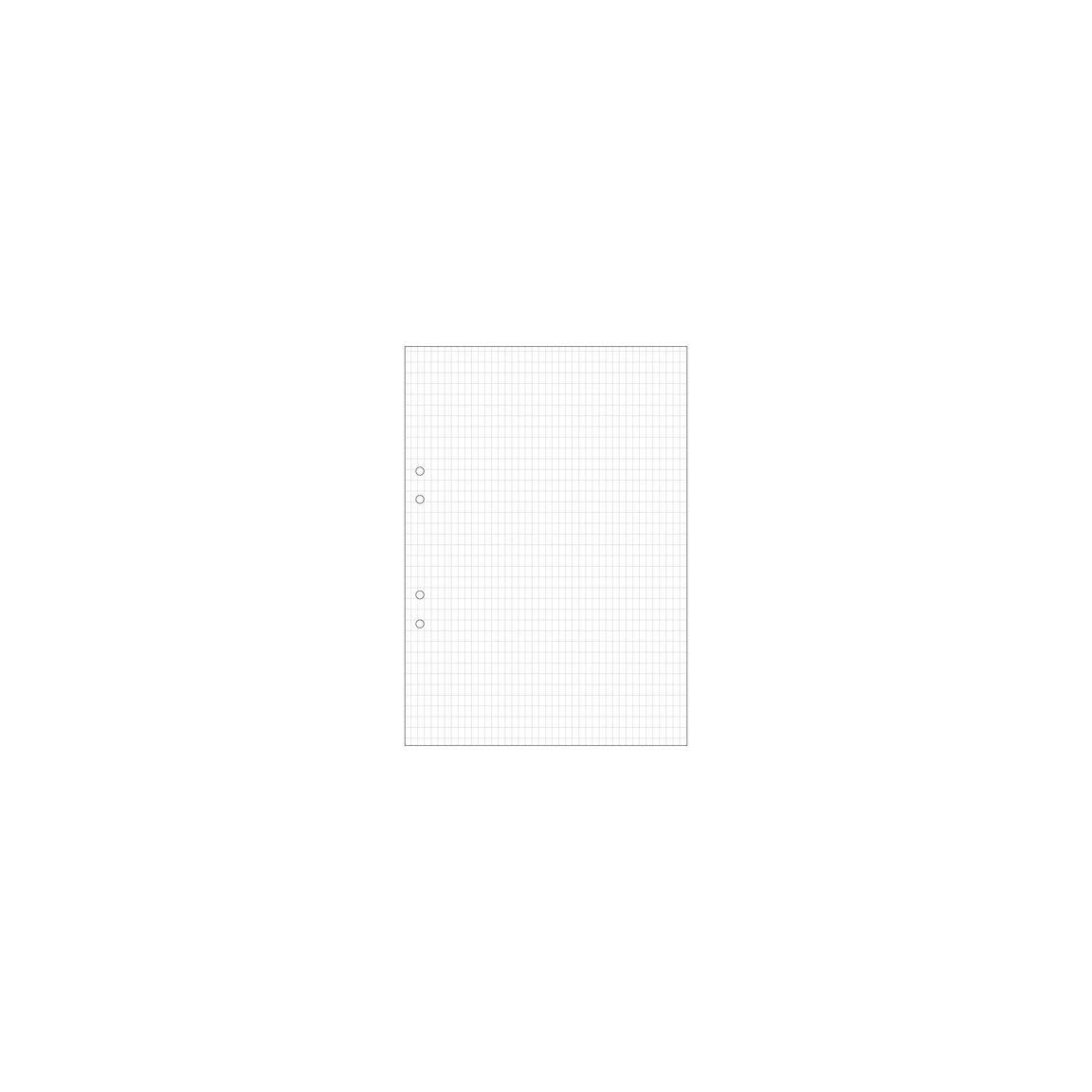 Loose leaf A4 squared 5x8mm perforated 500/pack
