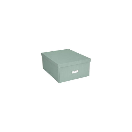 Storage box BIGSO Katrin mint