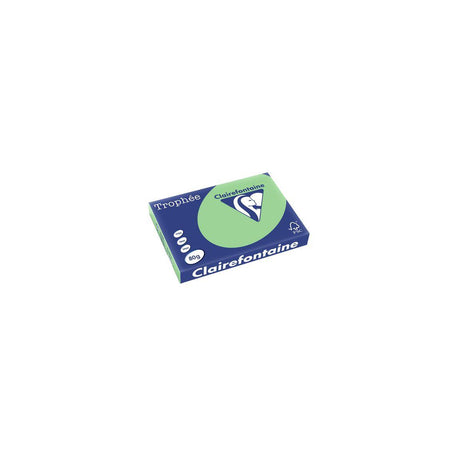 TROPHY A3 cup 80g oh natural grey 500/pc
