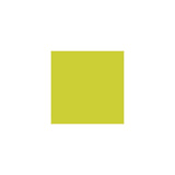 Napkin 2-ply 33x33cm kiwi 125/pack