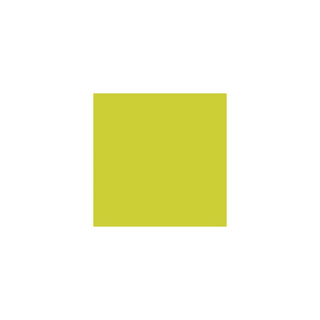 Napkin 2-ply 33x33cm kiwi 125/pack