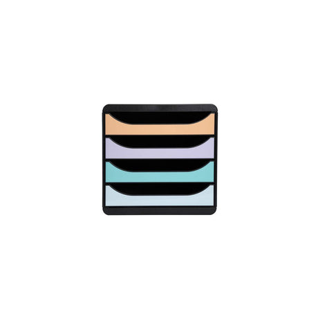 Blanket box EXACOMPTA BIGBOX 4 drawer paste