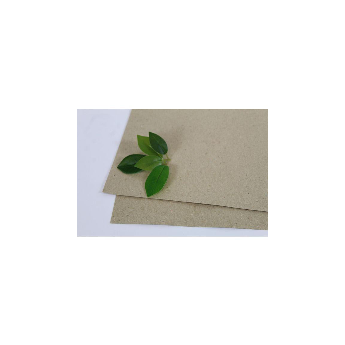 Plant press paper 400x470mm 180g 250/pack
