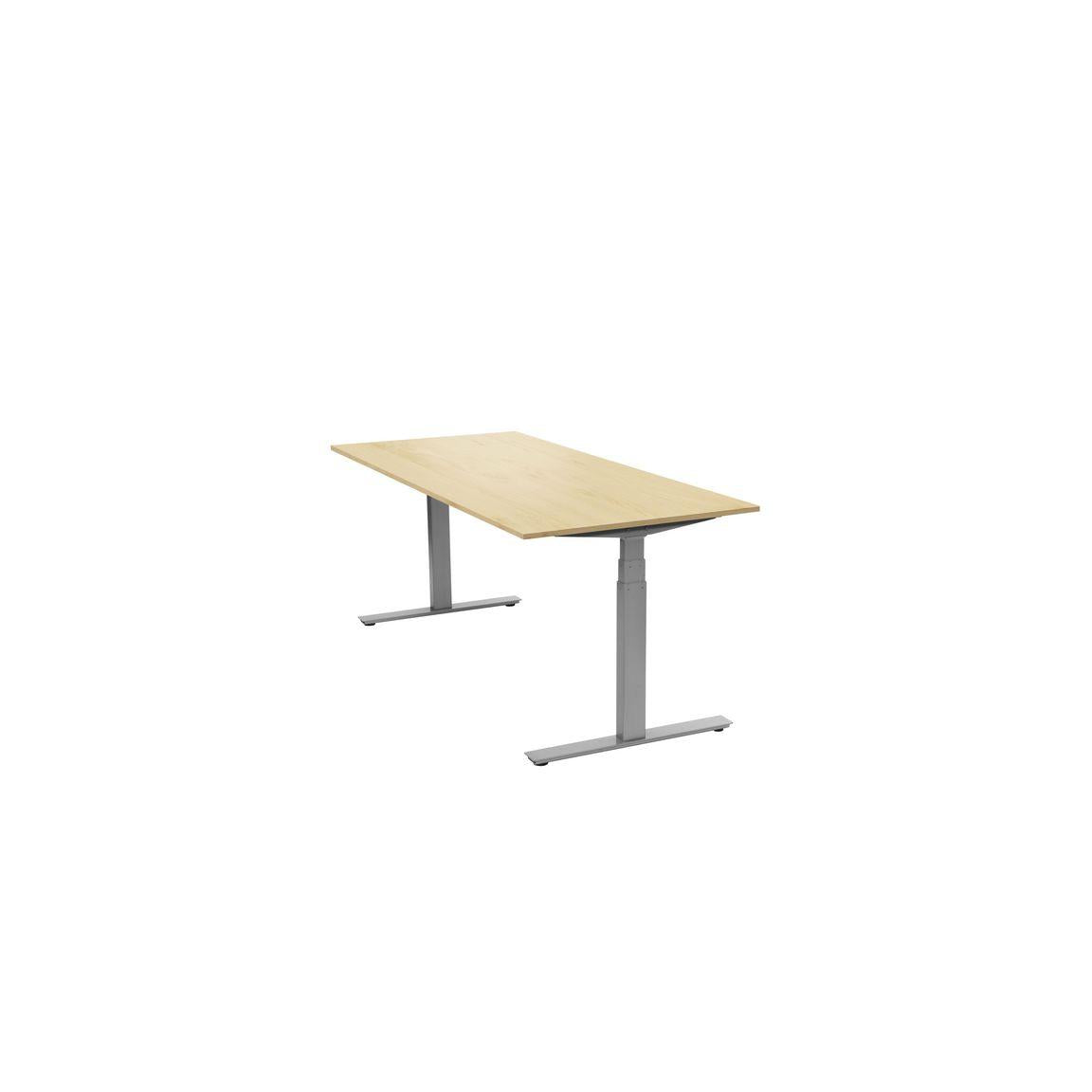 Desk Ergofunk T 1200x800 Book/Silver