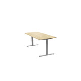 Desk Ergofunk T 1200x800 Book/Silver