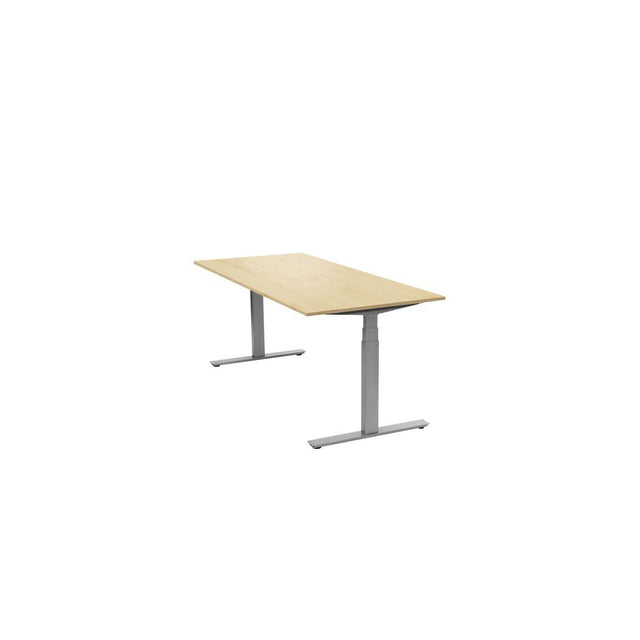 Desk Ergofunk T 1200x800 Book/Silver