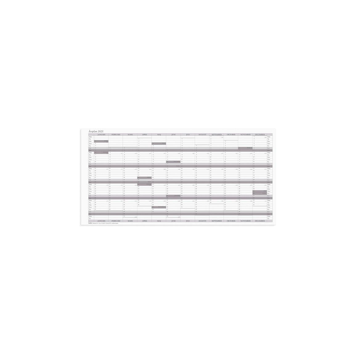 Wall calendar Annual plan 2025 5/fp