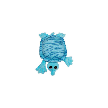 Turtle with weight 2kg