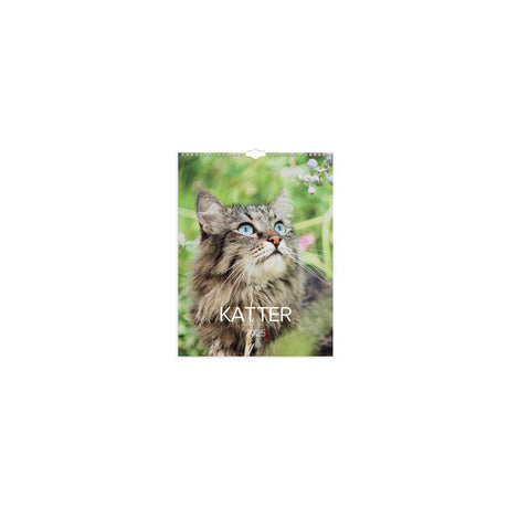Wall calendar Big Cat Calendar 2025