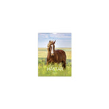 Wall calendar Big Horse Calendar 2025