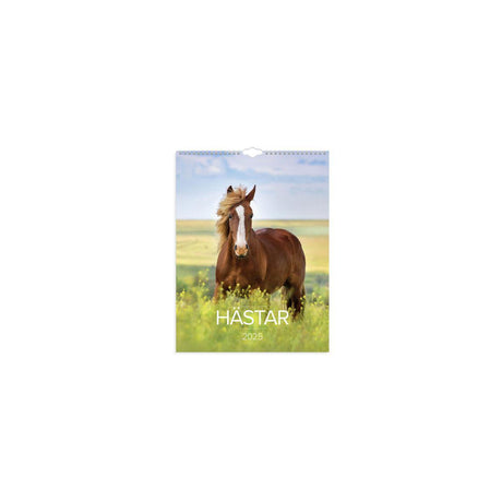 Wall calendar Big Horse Calendar 2025