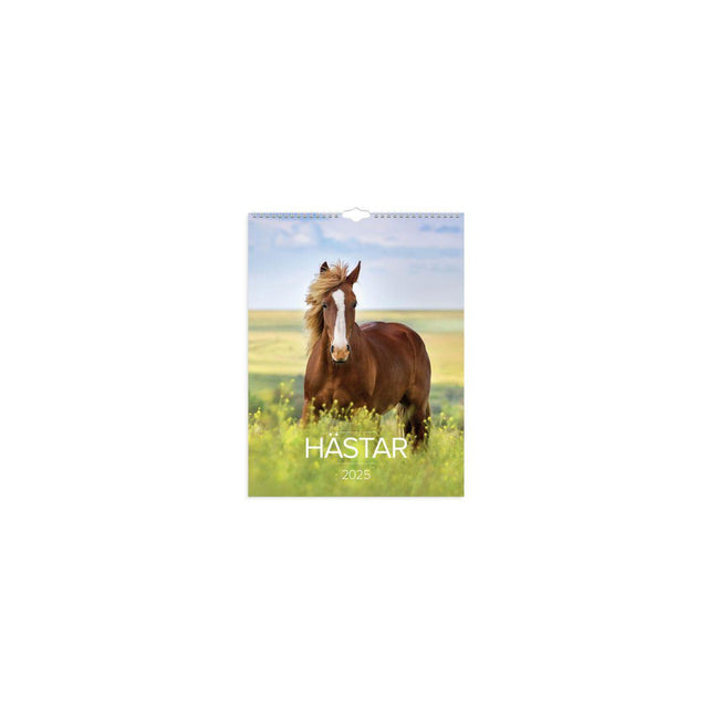 Wall calendar Big Horse Calendar 2025