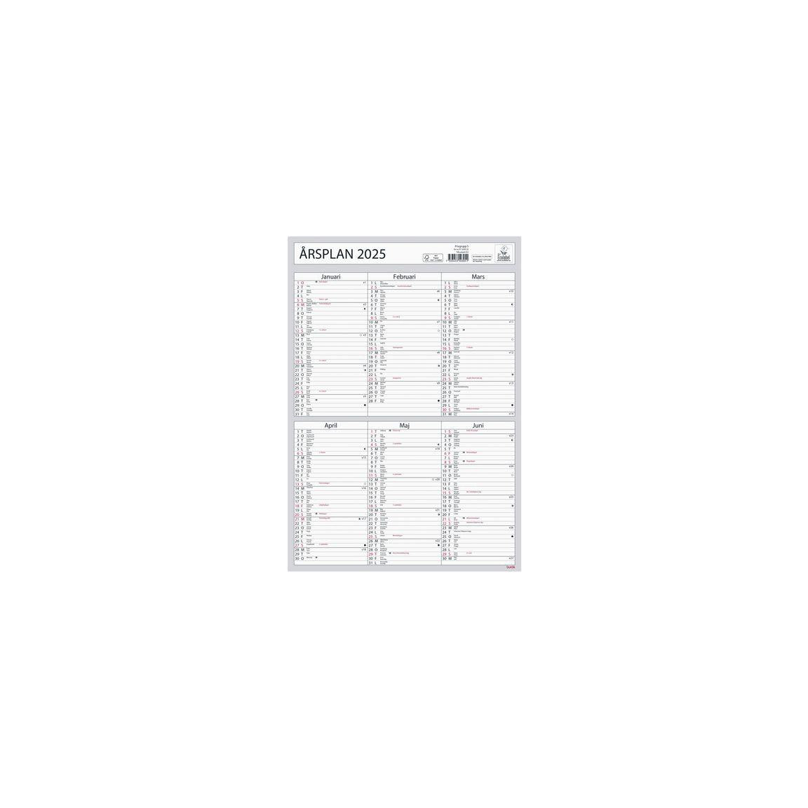 Wall calendar Annual plan 2025