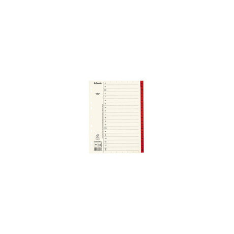 Card index Servo A4 A-Z red tab
