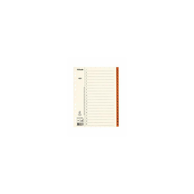 Card index Servo A4 1-20 brown tab