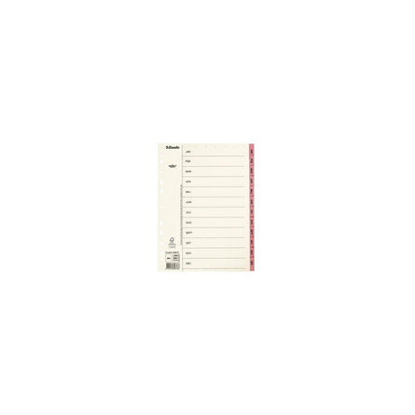 Card index Servo A4 Jan-Dec pink tab