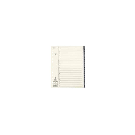 Cardboard register Servo System A4+ A-Z grey