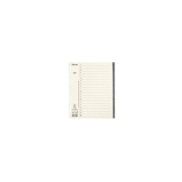 Cardboard register Servo System A4+ A-Z grey