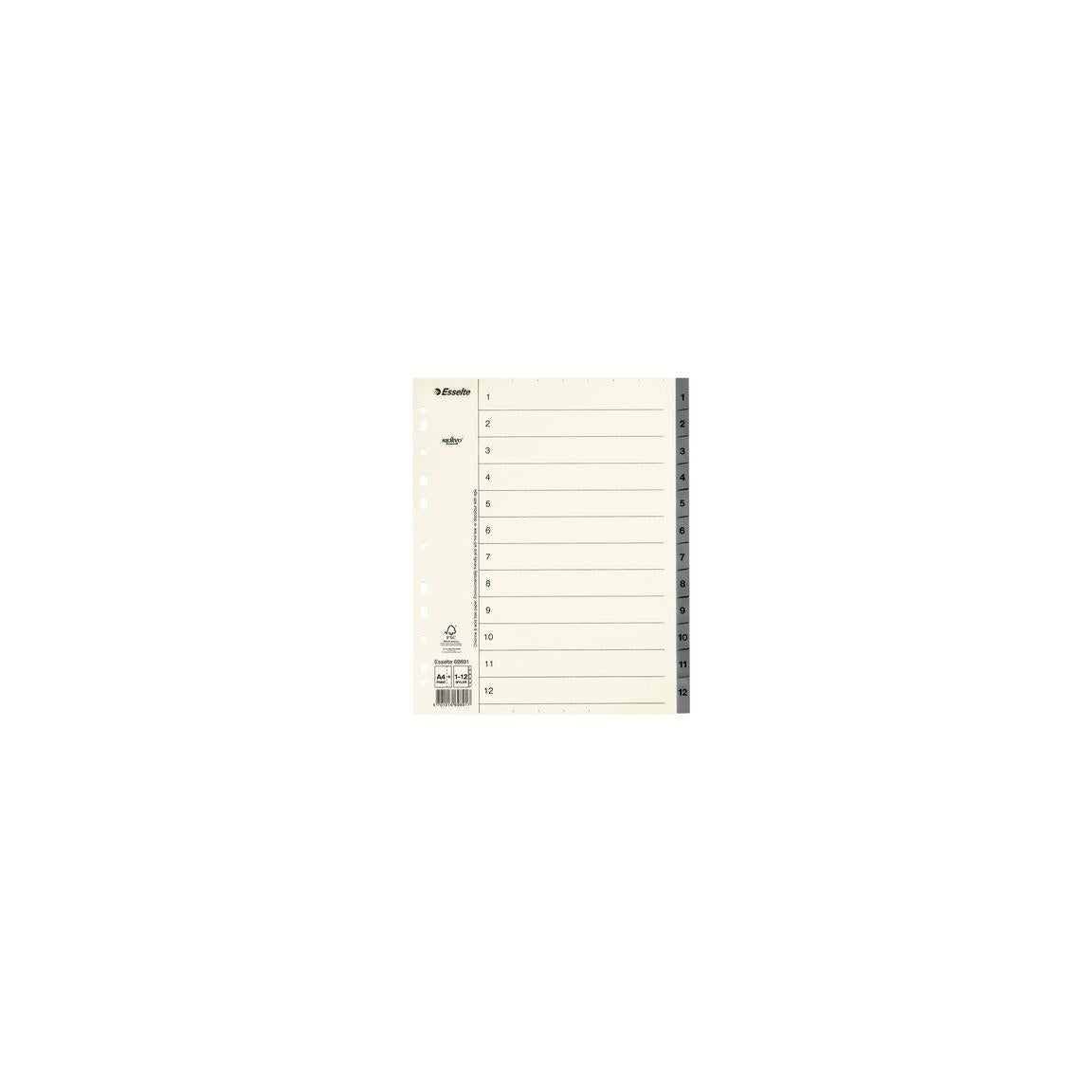 Cardboard register Servo System A4+ 1-12 grey