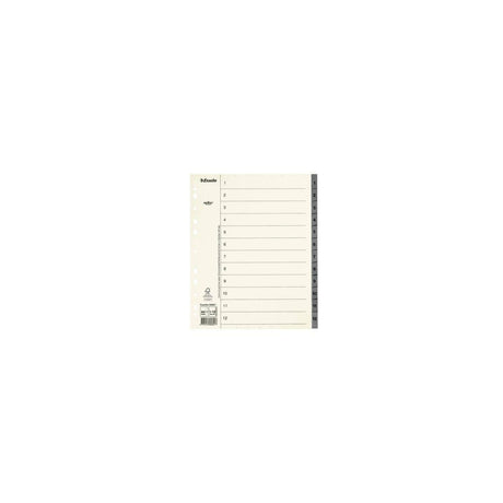 Cardboard register Servo System A4+ 1-12 grey