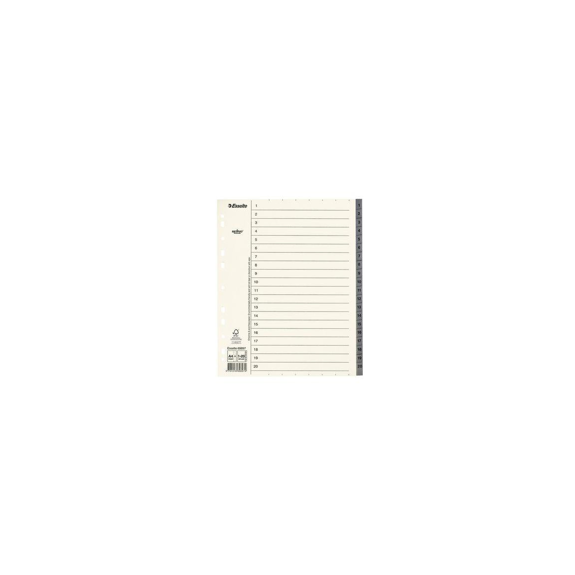 Cardboard register Servo System A4+ 1-20 grey
