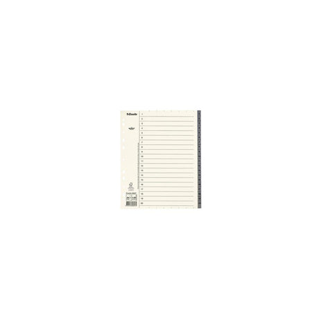 Cardboard register Servo System A4+ 1-20 grey