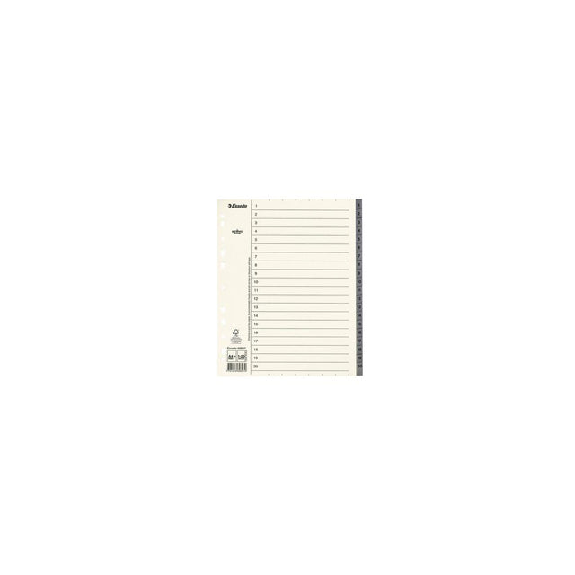 Cardboard register Servo System A4+ 1-20 grey