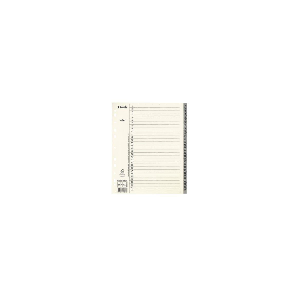 Cardboard register Servo System A4+ 1-31 grey