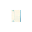 Cardboard index JOPA A4 1-12 white/blue