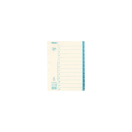 Cardboard index JOPA A4 1-12 white/blue