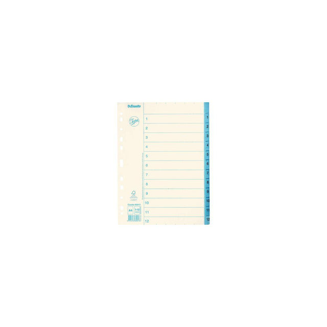 Cardboard index JOPA A4 1-12 white/blue