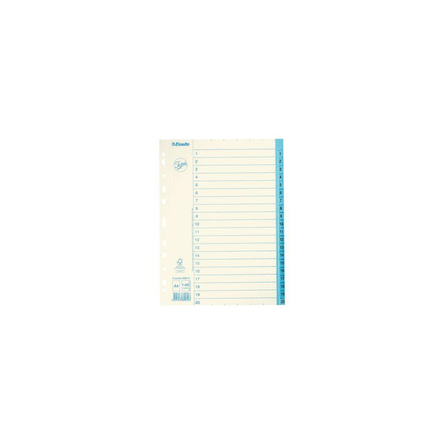 Cardboard index JOPA A4 1-20 white/blue