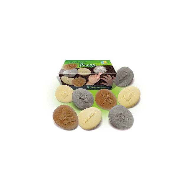 Examine insects of stone 8/fp