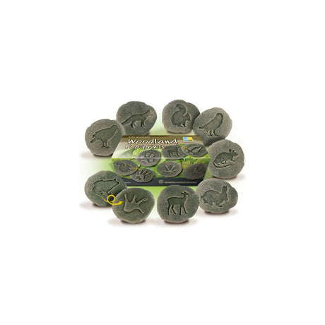 Examine Footprints from the forest of stone8/f