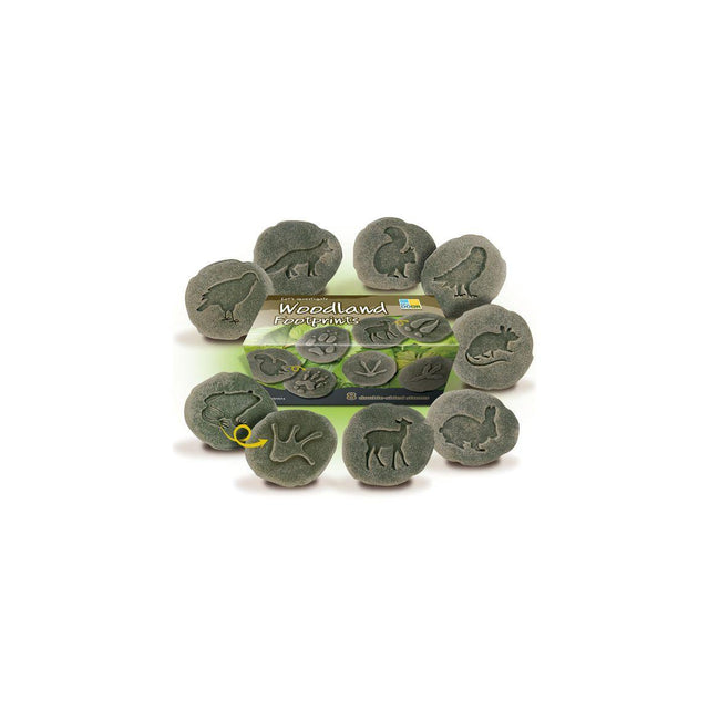 Examine Footprints from the forest of stone8/f