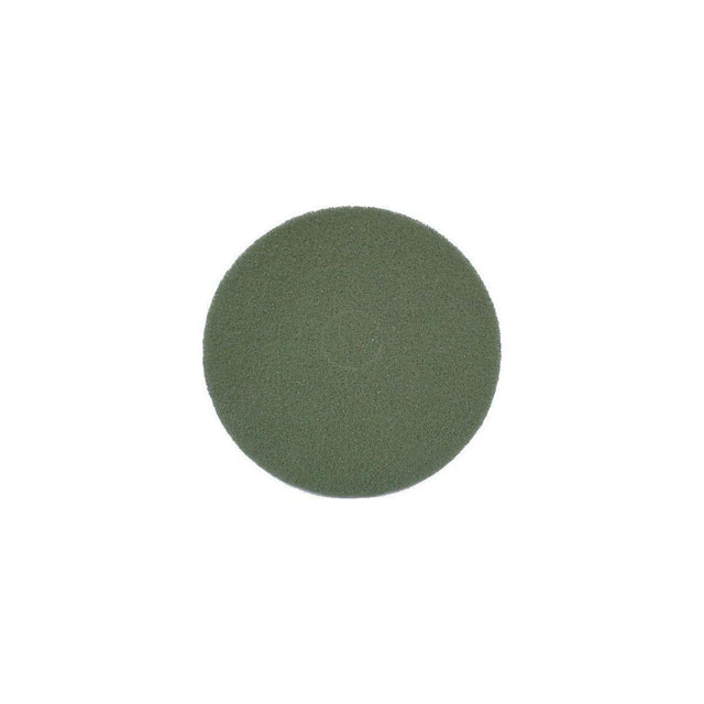 Washer NILFISK diamond 20' green 2/pc