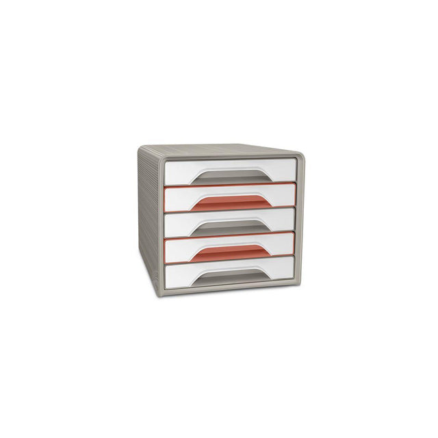 Form box CEP Terranova 5 compartments