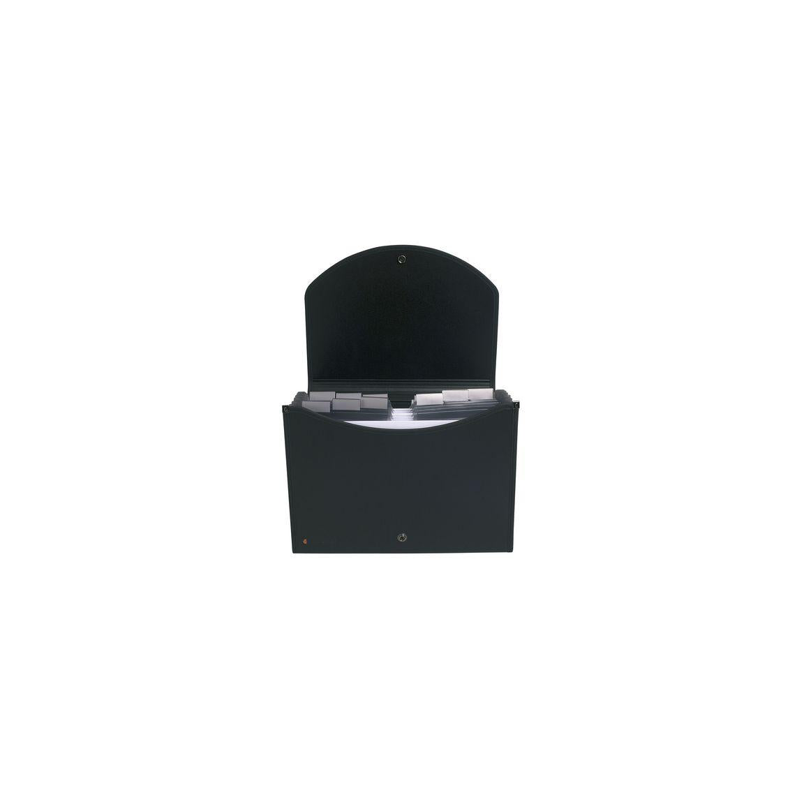 Home archive EXACOMPTA 13 tabs black