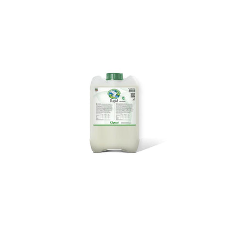 Detergent GIPECO Rapid 10L