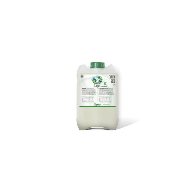 Detergent GIPECO Rapid 10L
