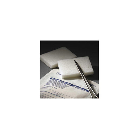 Spongostan Abs cube 10x10x10mm 24/pc