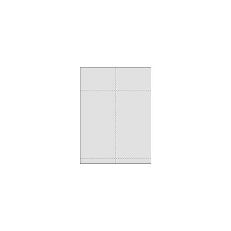 Transport label laser 105x297mm 500/pc